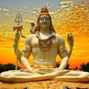 Meet your Posher, Roli